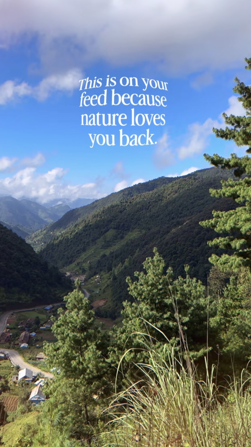 Nature Reel